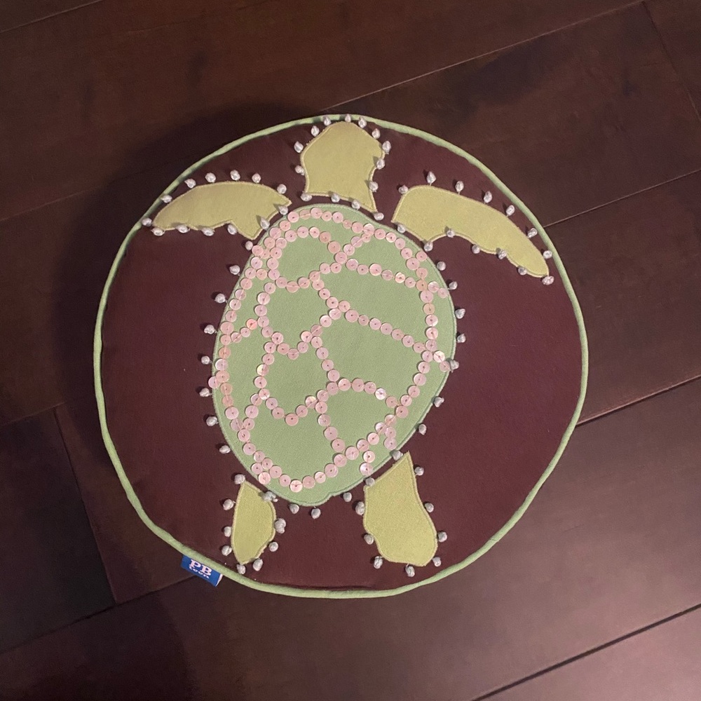 Pottery Barn Turtle Throw Pillow